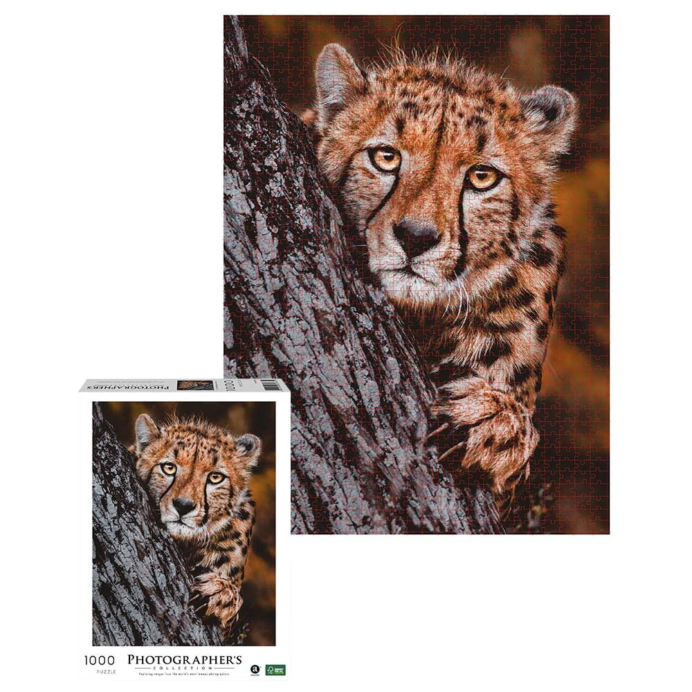 Ambassador - Photographers Collection 1000 Piece Puzzle - Cheetah